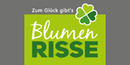 Logo Blumen Risse GmbH & Co KG in Werl